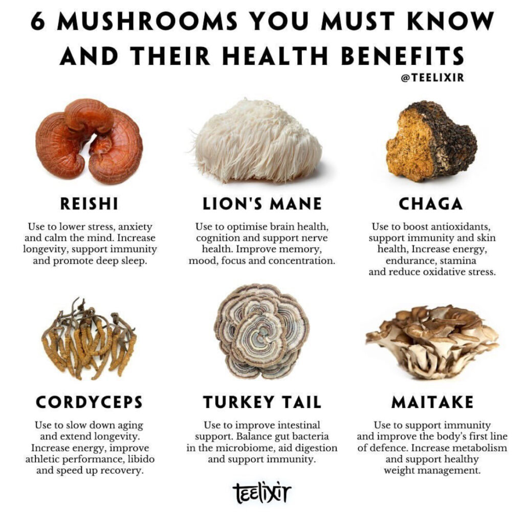 Delicious Melmac penis envy mushrooms