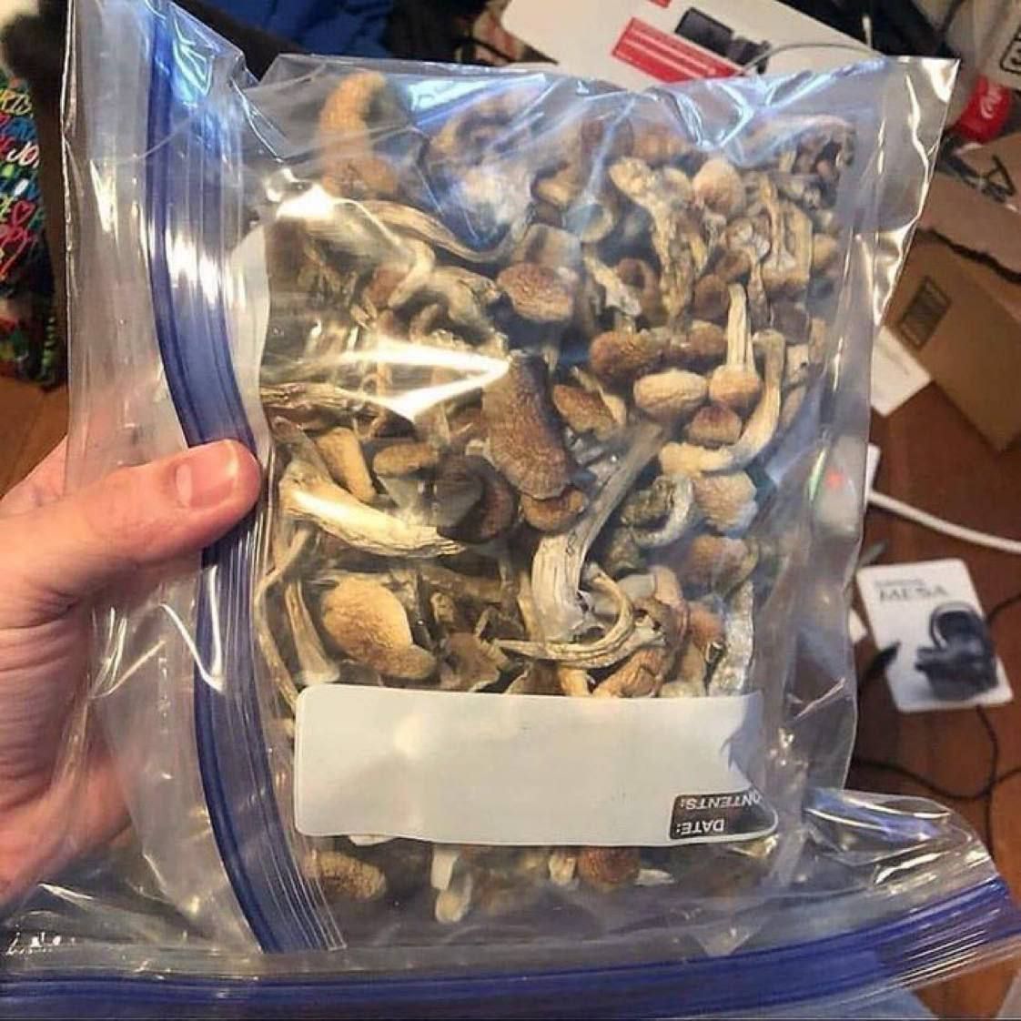 RUSTY WHITE MAGIC MUSHROOMS BEST RUSTY WHITE MAGIC MUSHROOMS