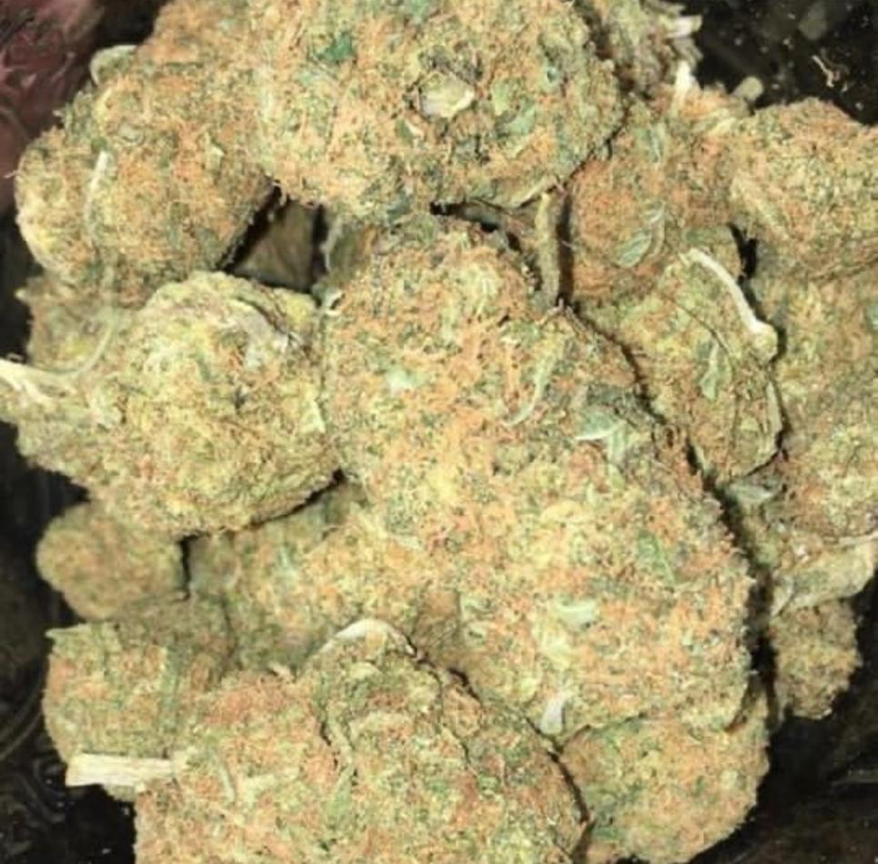 WhatsApp Image 2025-12-01 at 00.27.38 Sundae Driver