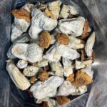 Benefits of magic mushrooms